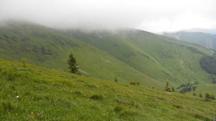 img00311.jpg