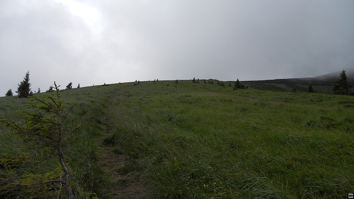 img00313.jpg