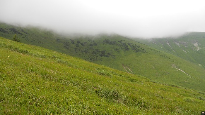 img00314.jpg