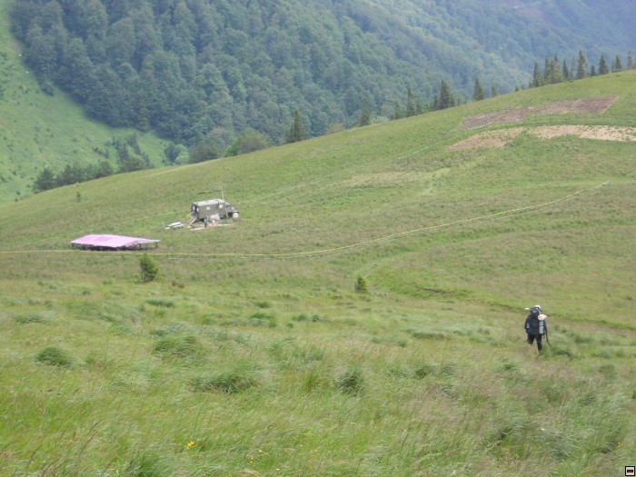 img00315.jpg