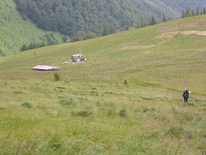 img00316.jpg
