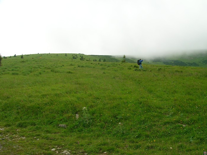 img00317.jpg