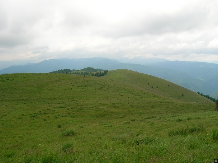 img00320.jpg