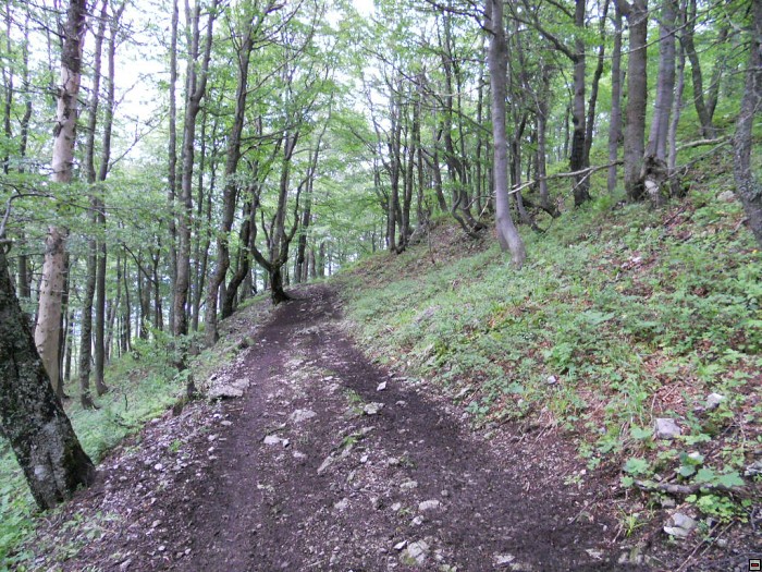 img00324.jpg