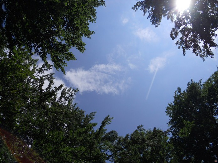 img00329.jpg