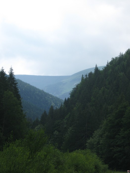 img00333.jpg