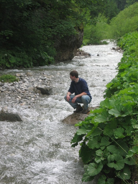 img00334.jpg