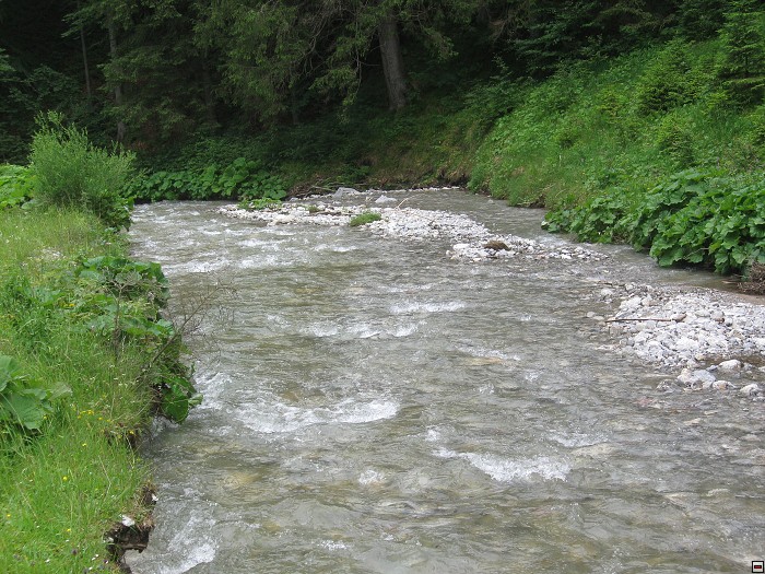 img00335.jpg