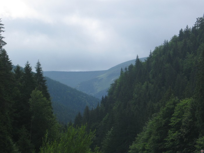 img00336.jpg
