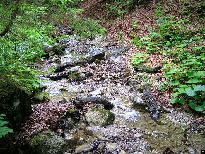img00340.jpg