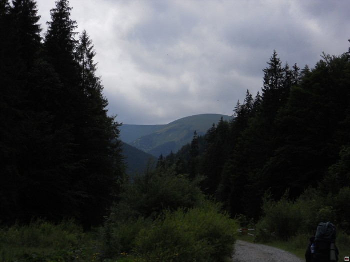 img00342.jpg