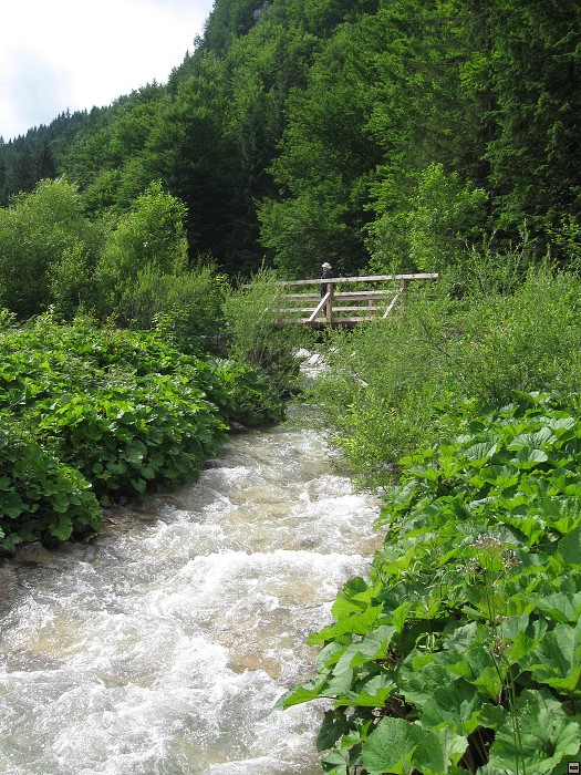 img00343.jpg