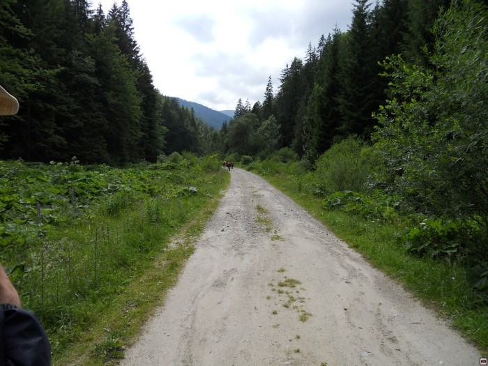 img00344.jpg