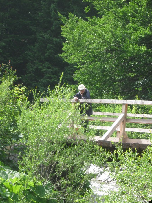 img00345.jpg