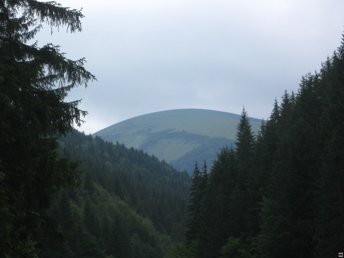 img00349.jpg