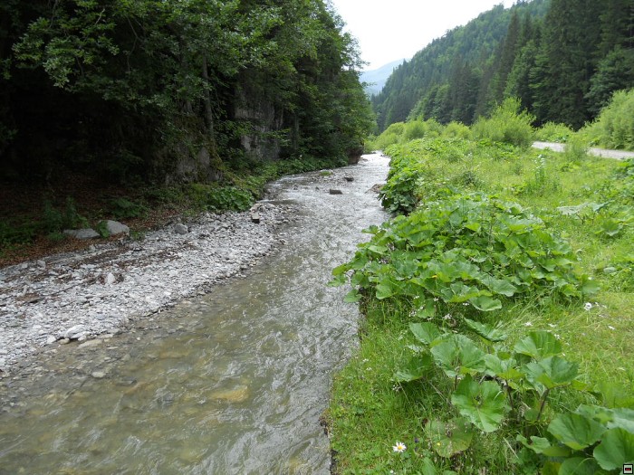img00350.jpg