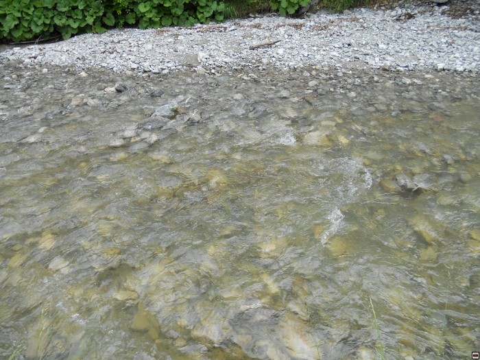 img00351.jpg