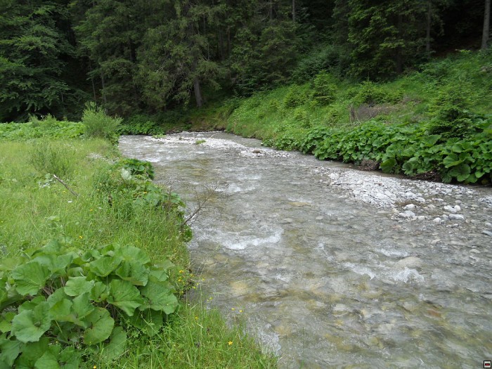 img00352.jpg