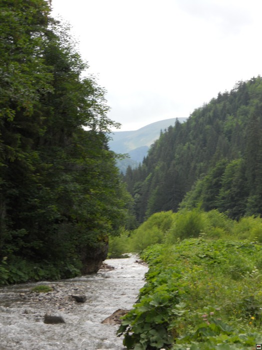 img00353.jpg