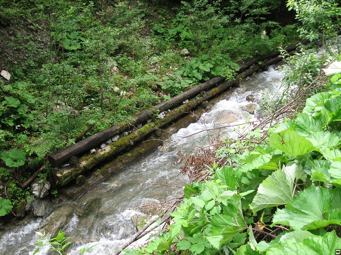 img00354.jpg