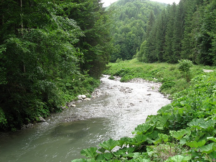 img00357.jpg