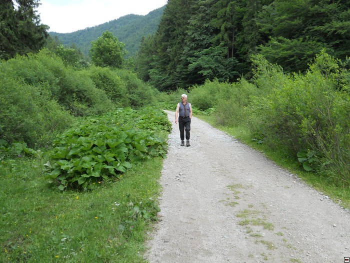 img00360.jpg