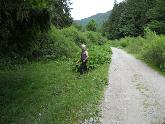 img00361.jpg