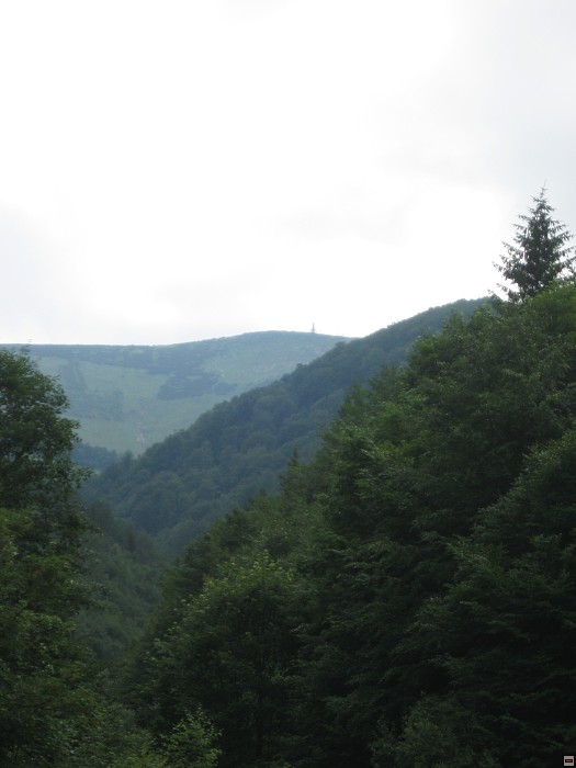 img00362.jpg