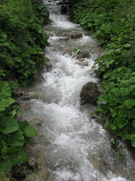 img00363.jpg