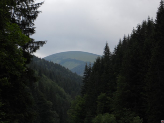 img00364.jpg
