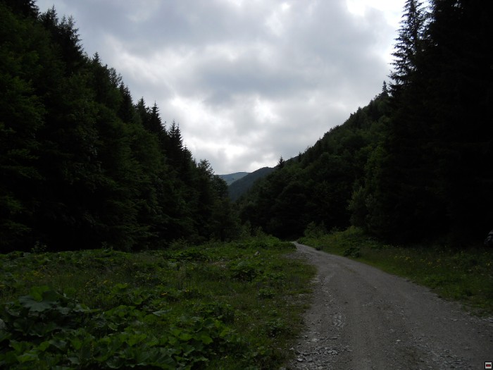 img00367.jpg