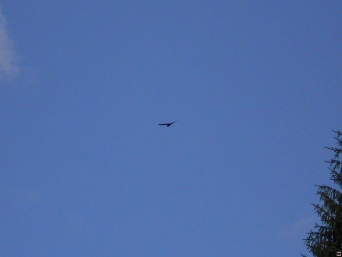 img00371.jpg