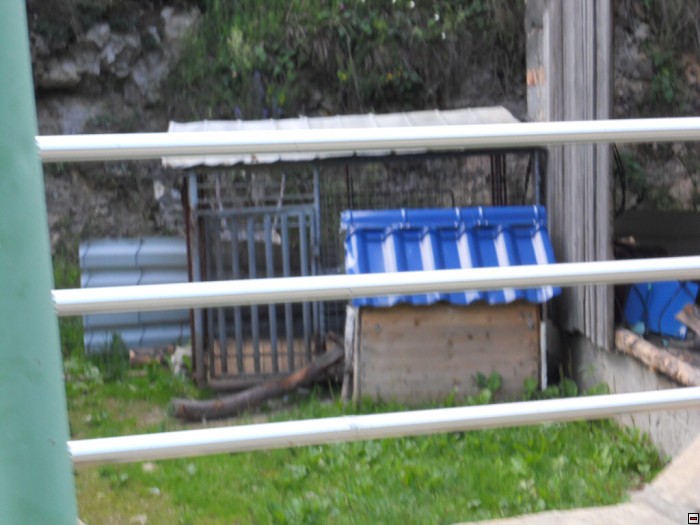 img00380.jpg