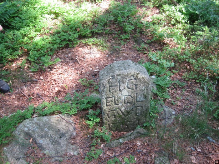 img00003.jpg