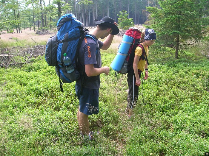 img00009.jpg