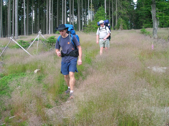 img00011.jpg
