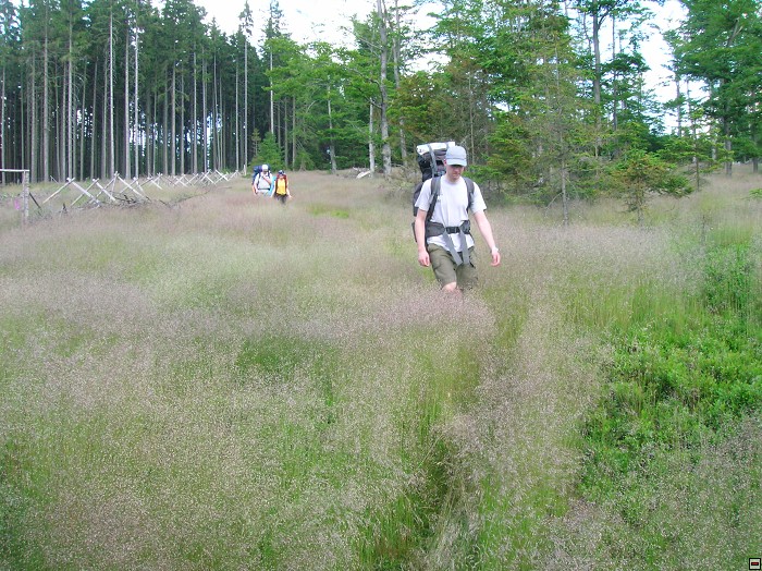 img00012.jpg