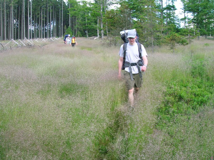 img00014.jpg