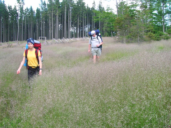 img00016.jpg