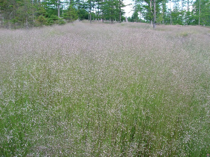 img00019.jpg