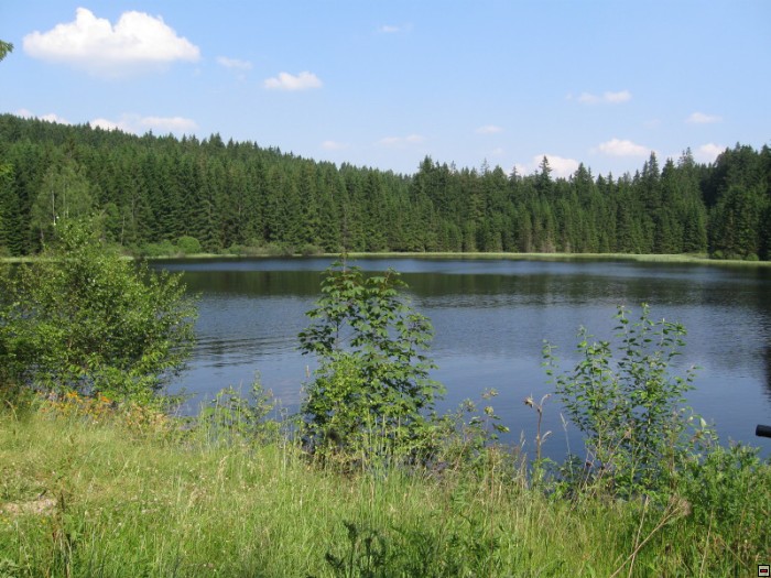 img00020.jpg