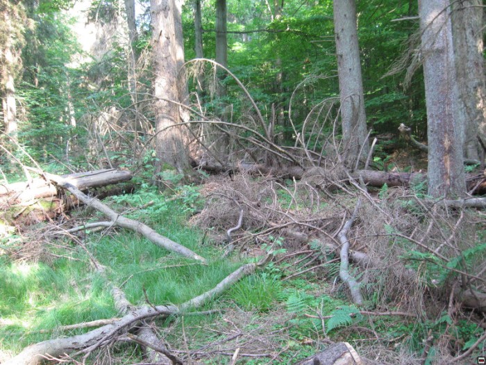 img00030.jpg