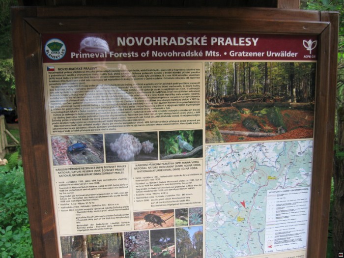 img00032.jpg