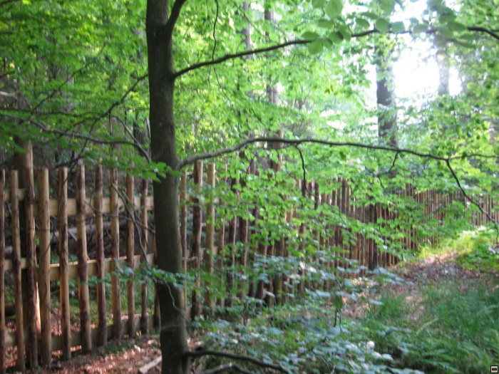 img00033.jpg