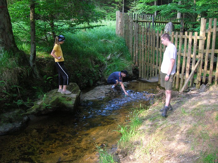 img00035.jpg