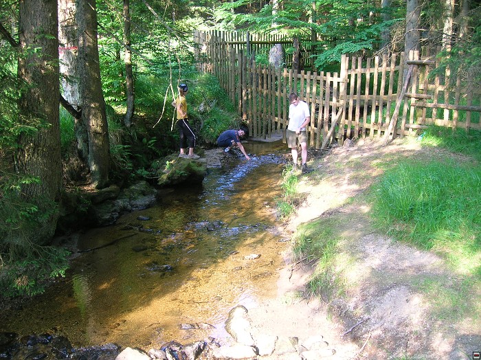img00036.jpg