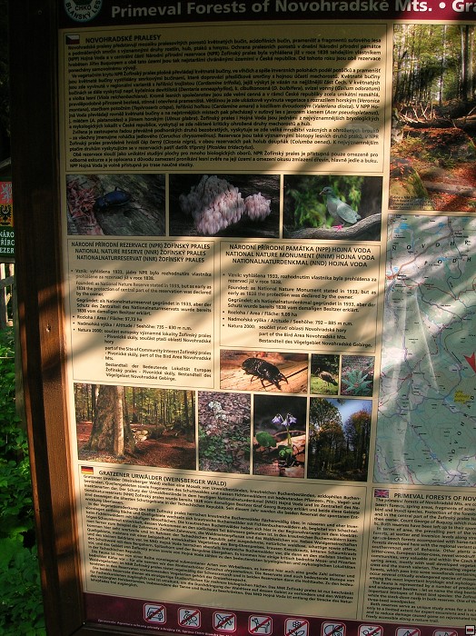 img00037.jpg