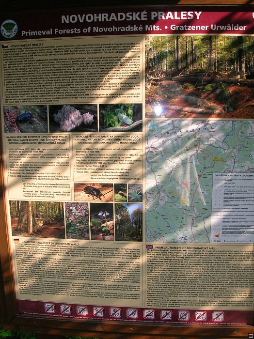 img00038.jpg