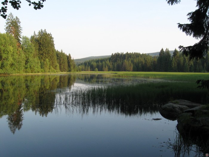 img00043.jpg