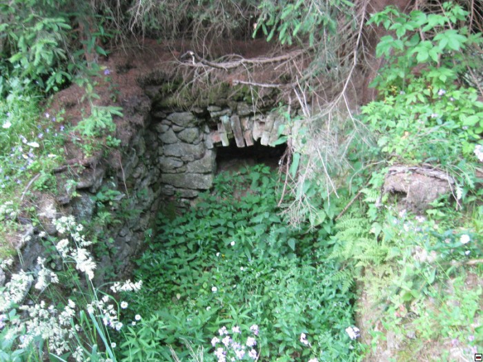 img00045.jpg